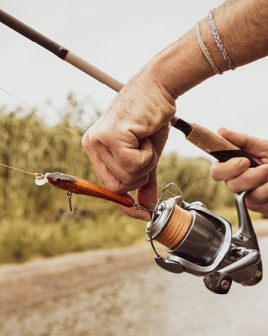 saalaa-about-us-img01-v3